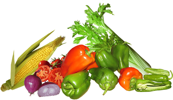 Équipe Bojos Company - Agriculture durable